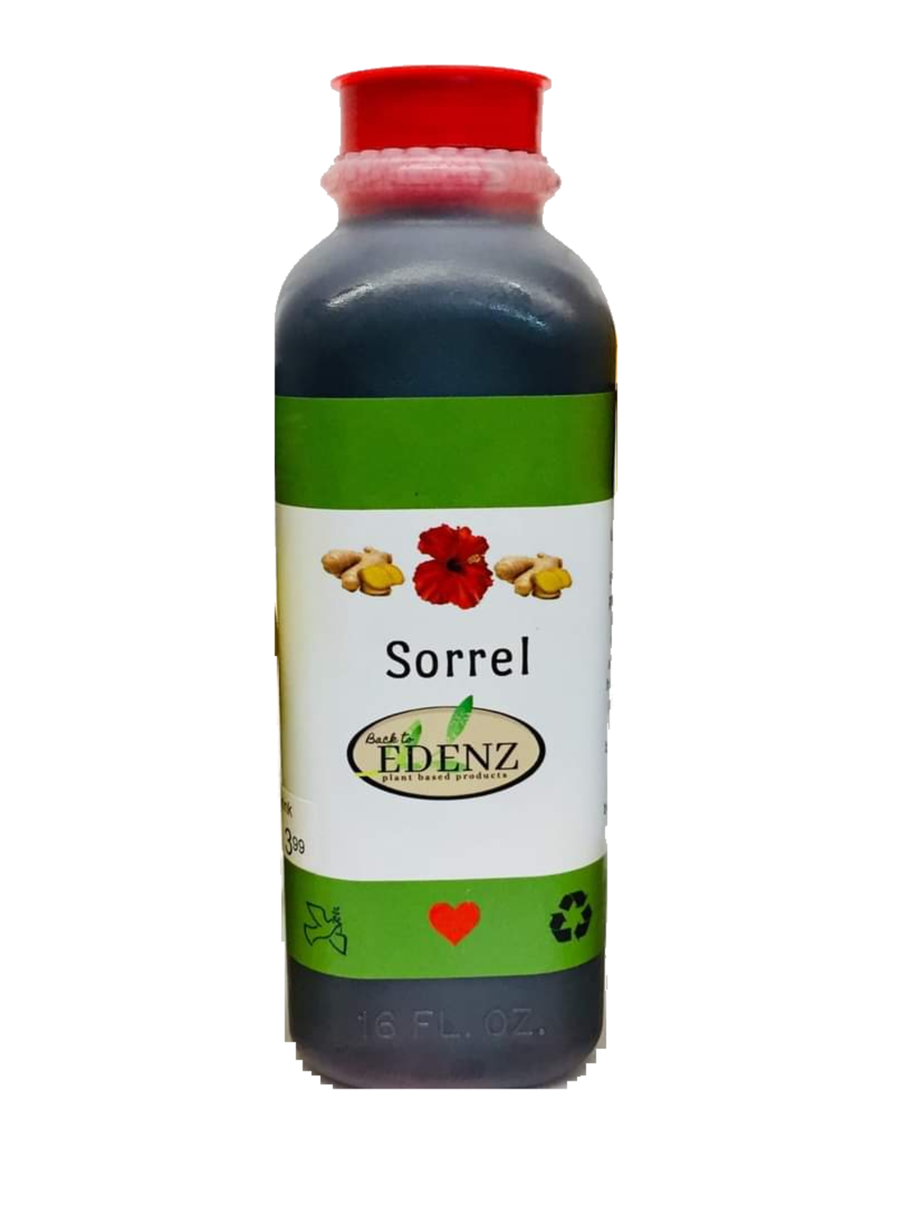Sorrel